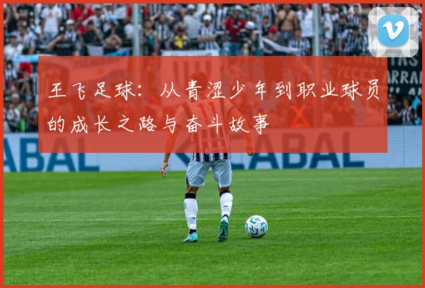 王飞足球：从青涩少年到职业球员的成长之路与奋斗故事