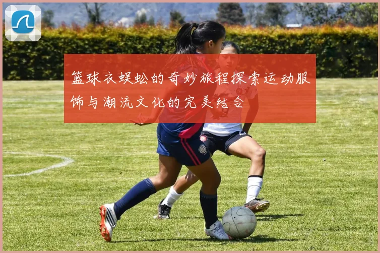 篮球衣蜈蚣的奇妙旅程探索运动服饰与潮流文化的完美结合