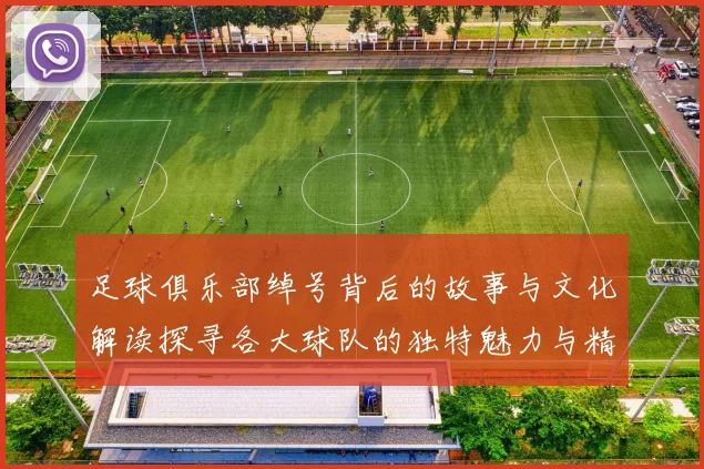 足球俱乐部绰号背后的故事与文化解读探寻各大球队的独特魅力与精神象征